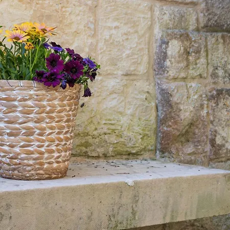 Masseria Del Bosco Makyva Farm stay *